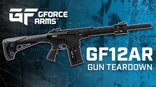 GForce Arms  GF12AR SemiAutomatic Shotgun Firearm Teardown [upl. by Yerdna]