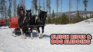 Dashing Thru The Snow  Horse Drawn Sleigh Ride [upl. by Aihsirt5]