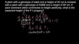 How to solve quantitative genetics problems [upl. by Rostand]