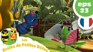 DRÔLES DE PETITES BÊTES  EP23  Linvité surprise [upl. by Ailaro383]