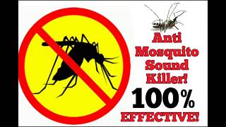 FREE anti Mosquito sound 100 EFFECTIVE [upl. by Ecinereb808]