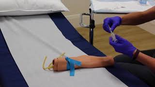 Phlebotomy  Training Video [upl. by Notyal377]