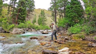 Fly Fishing the most INCREDIBLE Stream in Wyoming  Fly Fishing Wyoming part 3 [upl. by Arleta]