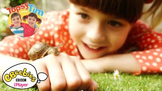 Topsy and Tim  Theme Tune  CBeebies [upl. by Neelhtak616]