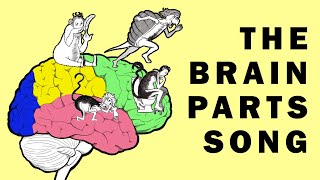 Parts of the Brain Song [upl. by Sutphin]