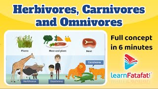 Herbivores Carnivores and Omnivores  Class 6 chapter 1 Food Where Does it Comes From Learnfatafat [upl. by Primrose]