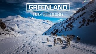 Arctic Dog Sledding in East Greenland [upl. by Scever]