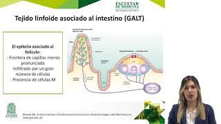 Fisiopatología de la alergia alimentaria  Dr Yurlany Gutiérrez [upl. by Melany]