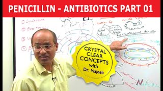 Penicillin  Antibiotics  Dr Najeeb  Part 14 [upl. by Illom]