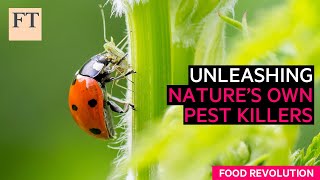 Fighting agricultural pests the natural way  FT Food Revolution [upl. by Eppesiug184]