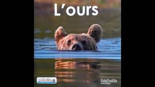 Livre documentaire sur lours [upl. by Wittenburg]