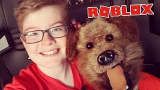 Playing Roblox with Hacker the talking dog [upl. by Asilam]