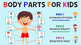 Body Parts For Kids  Learn Parts Of The Body  Body Part Quiz  ESL Kids  4K [upl. by Burford]