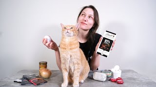 5 Human Foods Cats Can Eat And 5 To Avoid [upl. by Pippa]