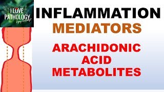 INFLAMMATION Part 5 Chemical Mediators ARACHIDONIC ACID METABOLITES [upl. by Ynetruoc45]