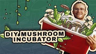 How to Incubate Mushrooms DIY Incubator [upl. by Aelyak]