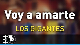 Voy a Amarte Los Gigantes Del Vallenato  Audio [upl. by Anyat764]