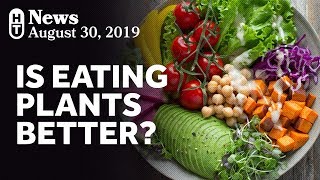 New Research On PlantBased Diets and Mortality [upl. by Einiar599]