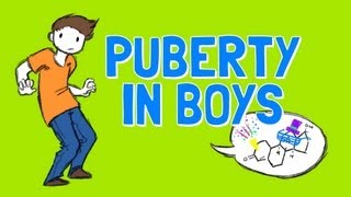 All About Boys Puberty [upl. by Bobina]