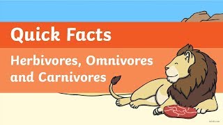 Quick Facts Herbivores Omnivores and Carnivores Video [upl. by Sugirdor]