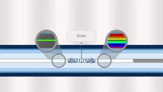 FBG Optical Sensing Overview [upl. by Meares]