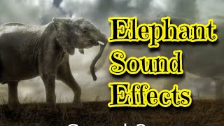 Elephant Sound Effects [upl. by Ataynik976]