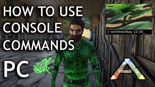 How to Use Console Commands on PC Single Player  Ark Survival Evolved  Cheats [upl. by Einobe499]