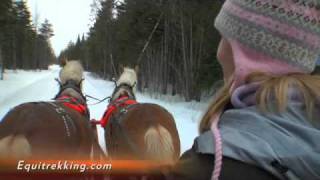 Driving a Horse Drawn Sleigh [upl. by Lurleen]