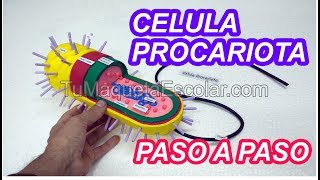 Como hacer la Celula Procariota  tutorial [upl. by Rumit]