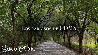 6 Lugares de CDMX donde olvidarás que existe el Caos [upl. by Faith]