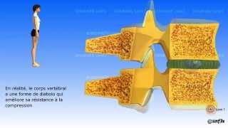Le vieillissement de la colonne vertébrale [upl. by Ainniz]