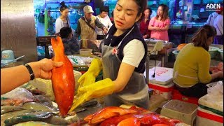 Sanya Fish Market  China  Hainan Island [upl. by Raval174]