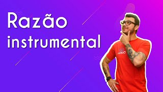 Razão instrumental  Brasil Escola [upl. by Berk]