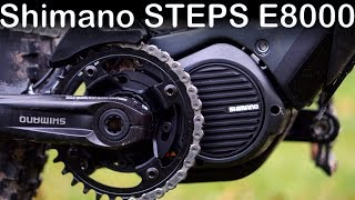 Shimano Steps E8000 2019  eBike motor test [upl. by Retswerb]