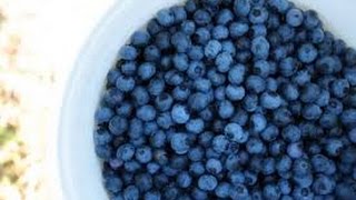 Natural ways to remove pesticides from berries [upl. by Annat]