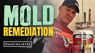 Mold Remediation How to Get Rid of Mold [upl. by Winthorpe]