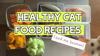 Healthy Homemade Cat Food Recipes [upl. by Eniarda]