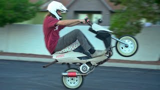 HOW TO WHEELIE on a SCOOTER [upl. by Airtal473]