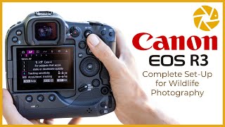 Canon R3 Settings For Wildlife Photography [upl. by Orbadiah]