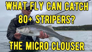 Fly Tying The Micro Clouser A big fish magnet [upl. by Notneb832]