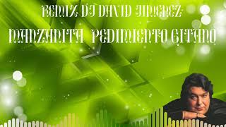 MANZANITA PEDIMIENTO GITANO REMIX DJ DAVID JIMENEZ [upl. by Montanez968]