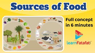 Sources of food  Class 6 Chapter 1 Food Where Does in Comes from   CBSE  LearnFatafat [upl. by Jeb]