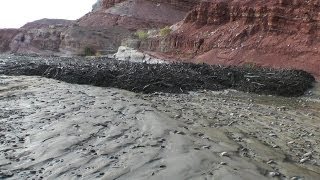 Amazing Flash Flood  Debris Flow Southern Utah HD [upl. by Koball675]