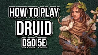 HOW TO PLAY DRUID [upl. by Noelyn]