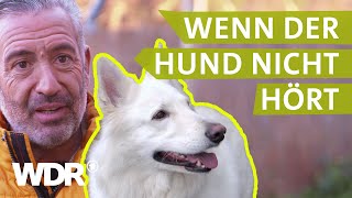 Dem Hund konsequent Grenzen aufzeigen  Hunde verstehen  S03E03  WDR [upl. by Niliac]