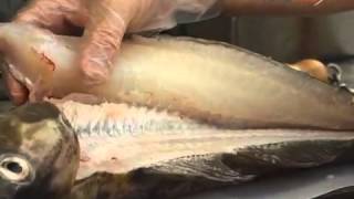 How to Fillet Cod [upl. by Bunder445]