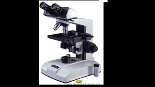 Micro Lab 3 Introduction to Compound Light Microscopy [upl. by Nilsoj]