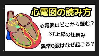 🔰心電図の読み方について解説します❗ [upl. by Lybis974]