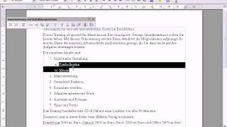 OpenOffice Writer Formatierung Gliederung [upl. by Acinok305]