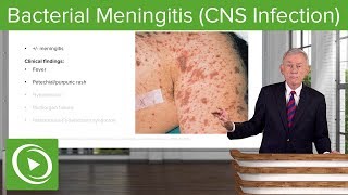 Bacterial Meningitis CNS Infection – Infectious Diseases  Lecturio [upl. by Jenifer]